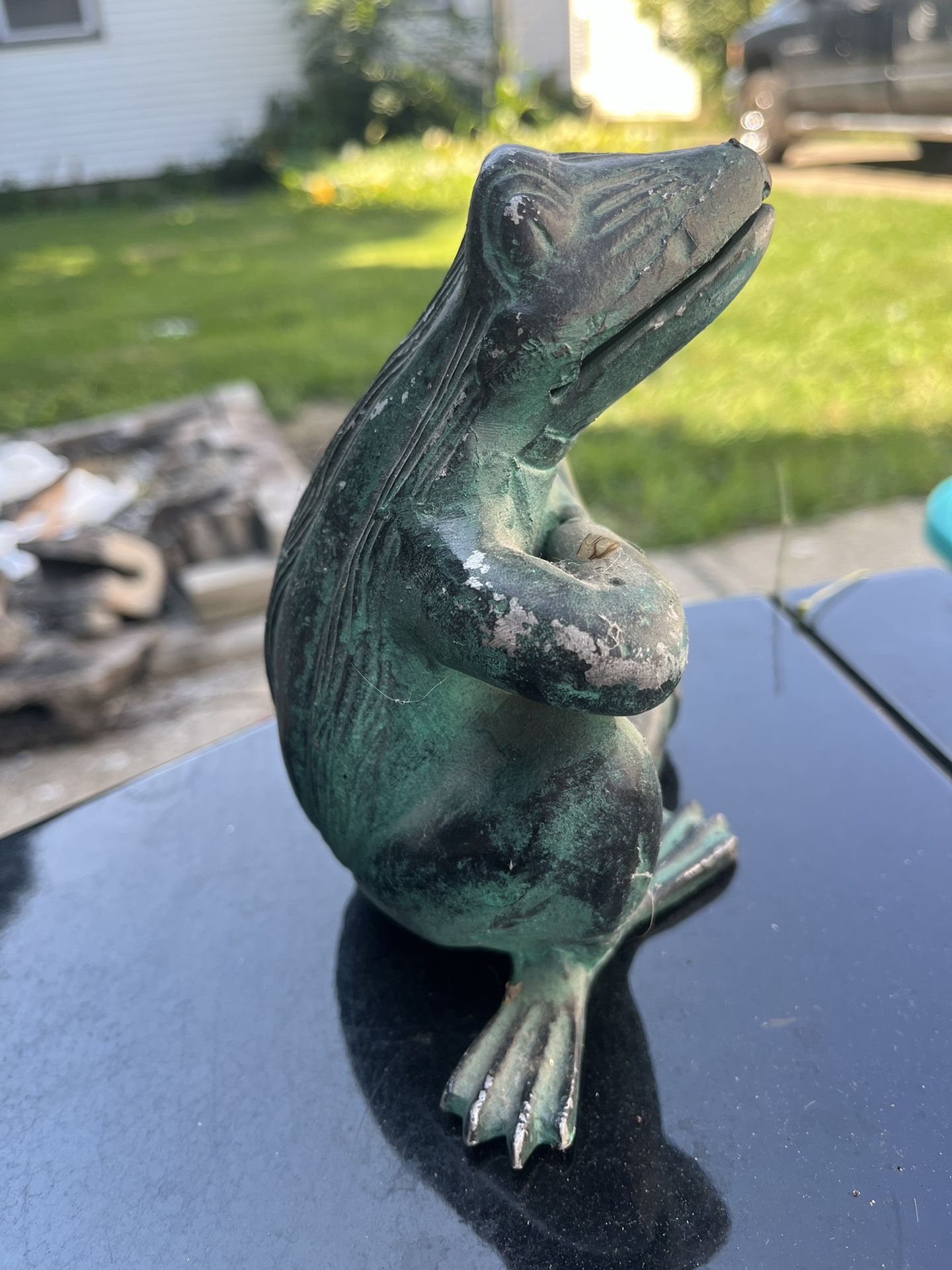 Metal frog