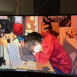 24in Curve Monitor