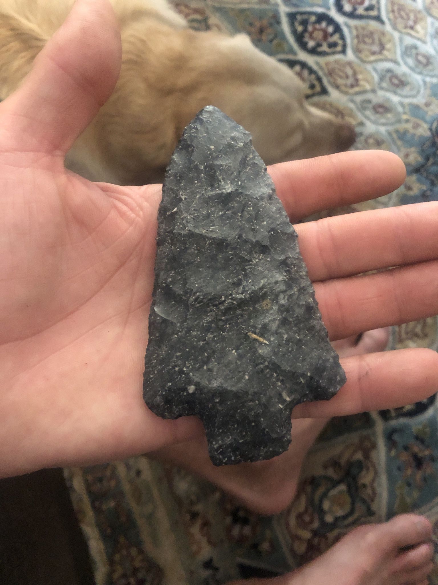 Prehistoric Ice Aged Museum Quality Spearhead 