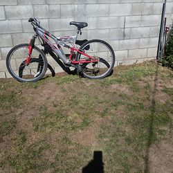 Adult Bike /Bicicleta Para Adultos