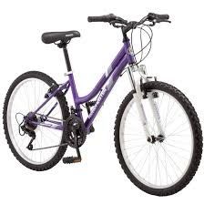 Purple Bike