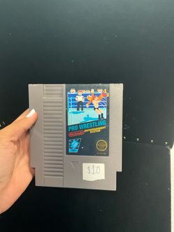 Pro wrestling NES Untested