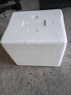 Foam cooler clean  in Donna inside the city $5.00