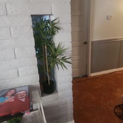2 Bamboo Fake Indoor Plants 3 Feet And 6 Feet Bamboo 