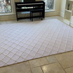 Area Rug