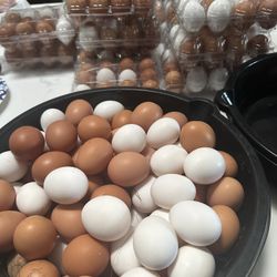 Eggs Free Range Organic 