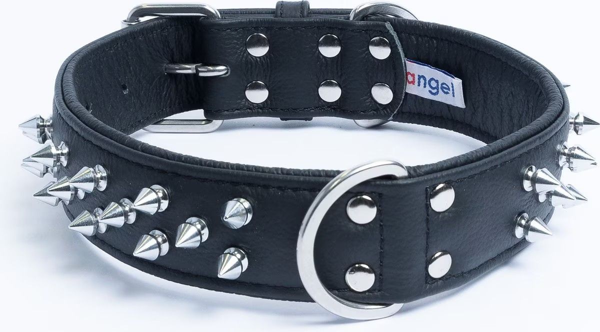Angel Amsterdam Multi-line Spiked Standard Dog Collar, Black, 22 x 1.5-in