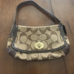 Vintage Coach Bag