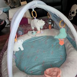 Carter's Arctic Play Gym 