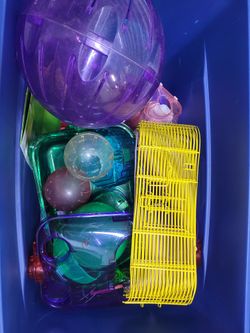 Hamster supplies