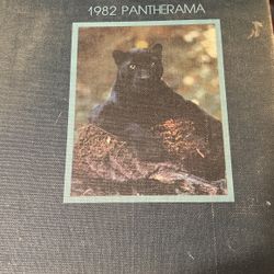 1982 Rosemead High School Yearbook