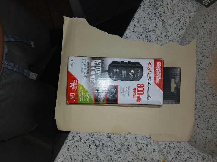 Fully Automatic Battery Maintainer