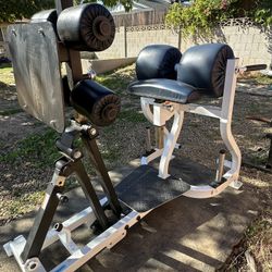 Pro Maxima Commercial Glute Ham Developer 