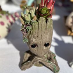 Groot Bubasaur Succulent Planter Pots