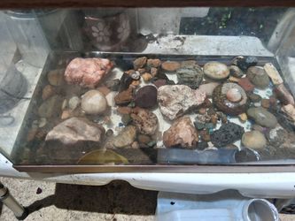 15 Gallon Fish Aquarium/ selected rocks/filter