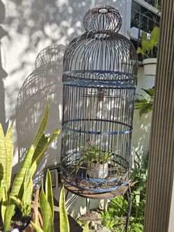  Iron Birdcage Tall Standing Blue