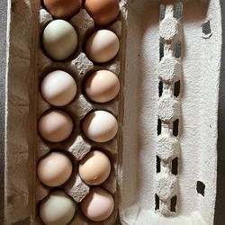 Farm Fresh Chicken Eggs