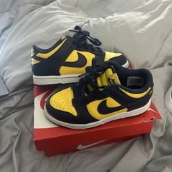 Nike Dunks Kids Size 11c
