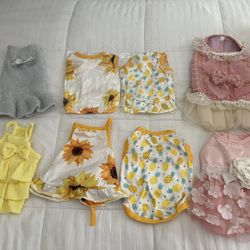 Dog Clothes