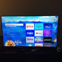 2017 4K 65in Tv With Roku Stick 