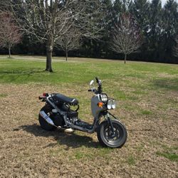 Honda Ruckus 