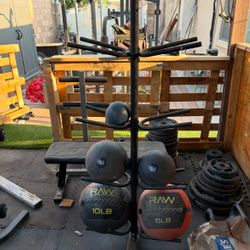 Ball tree and balls 1x10 1x6 1x40 1x20 1x6 $100 