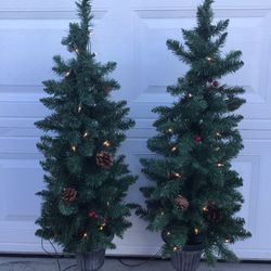 2lighted Tress