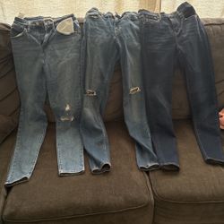 Pants
