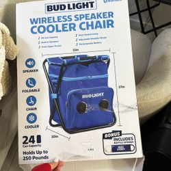 Wireless Speaker Cooler Chair 