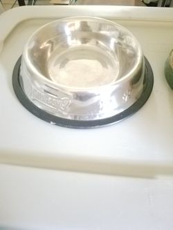 Large dog bowl