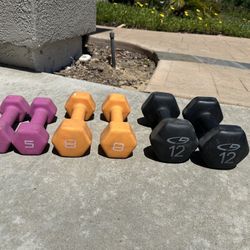 Set of 3 free weights 