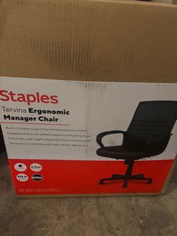 Tervina Ergonomic Manager Chair