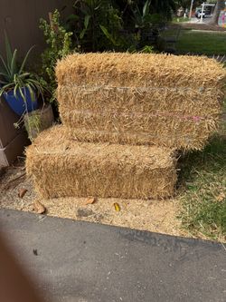 Hay stacks