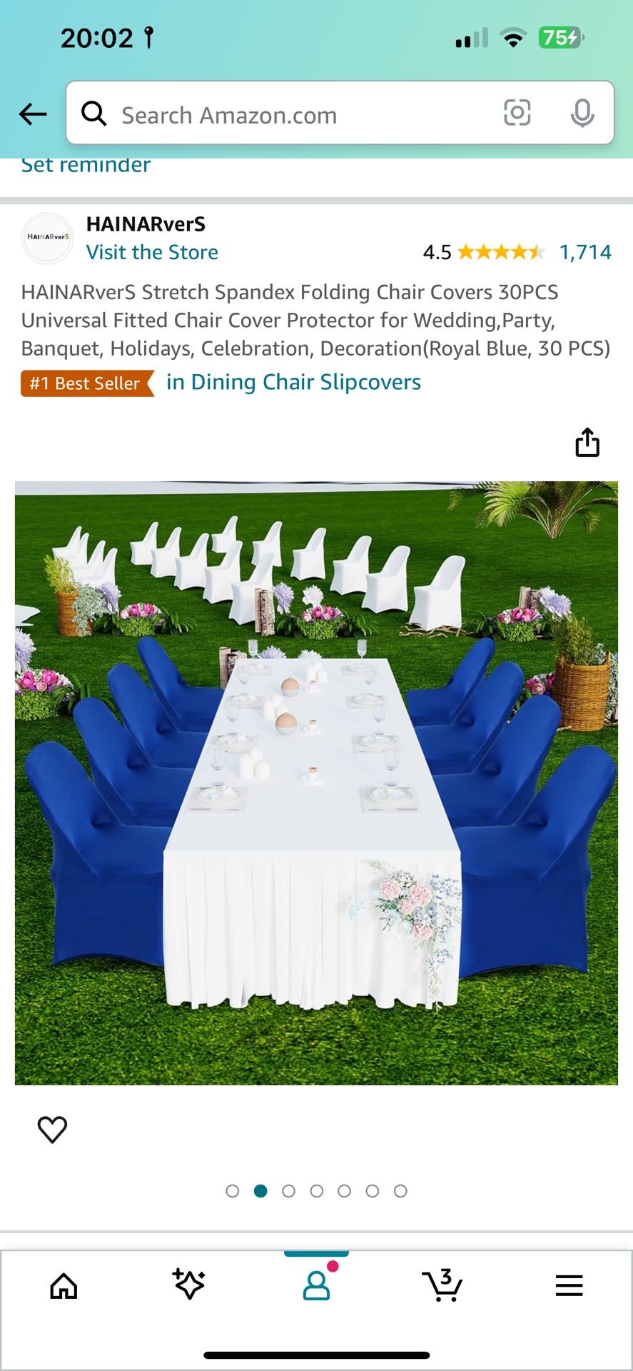Stretch Chair Covering