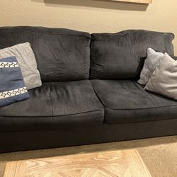 Sofa Sleeper & Love Seat $100