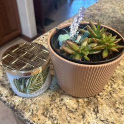Beautiful, Succulent And Candle