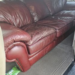 Free Couch At The Curb 