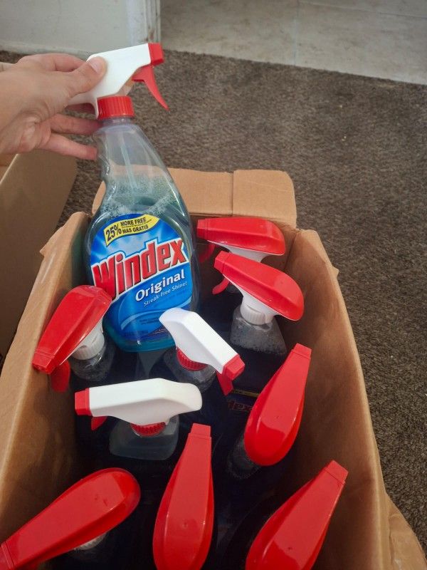 Box Of Windex (10 Bottles)