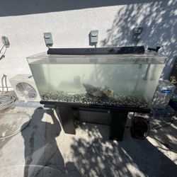 55 GALLON FISH TANK WITH FILTER AND LIGHT FOR SALE!!!