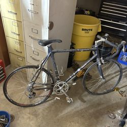 Bicycle 3 X $250