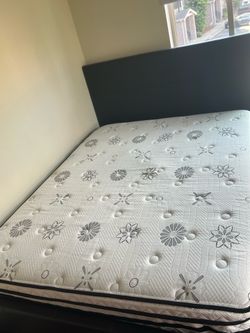 Like-new bed frame and mattress in excellent condition. Only one person has used it, and it has been very well cared for. The mattress is soft, comfor