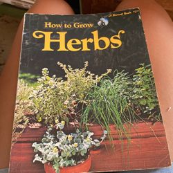 How To Grow Herbs 