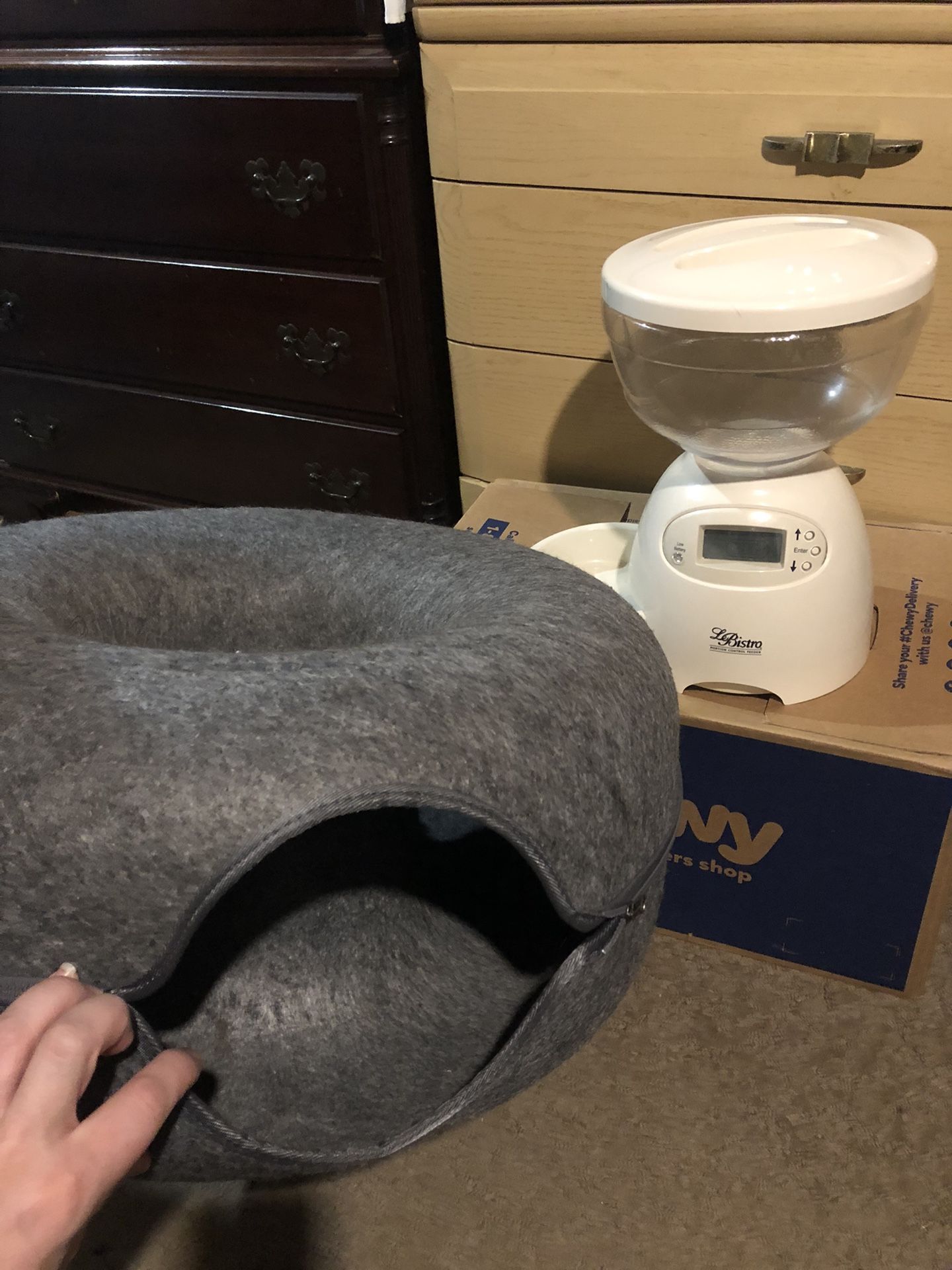 Cat Feeder Automatic And Bed And Toy Kitten Bowl House Catasaurus