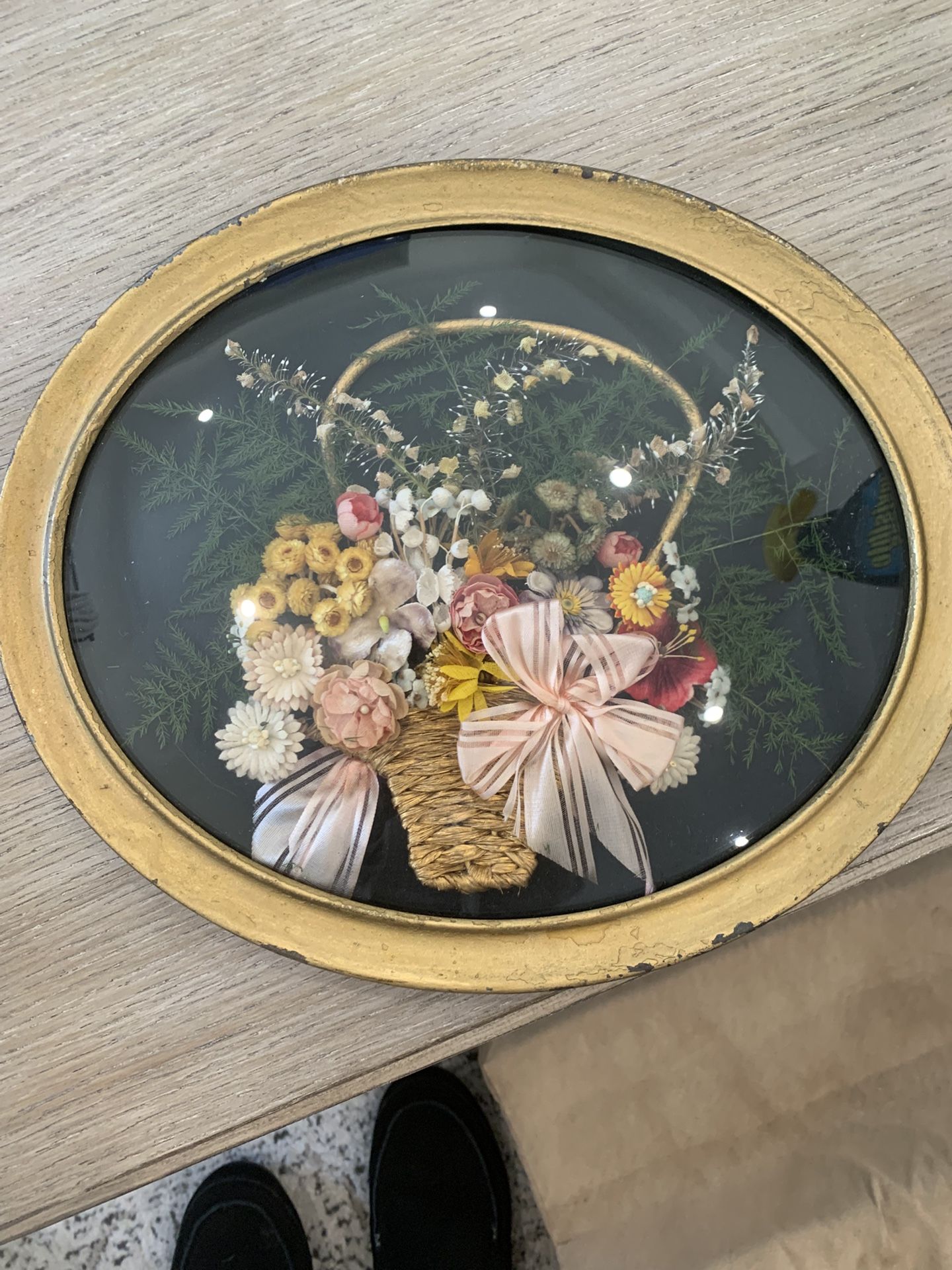 Antique Victorian Pressed Flowers