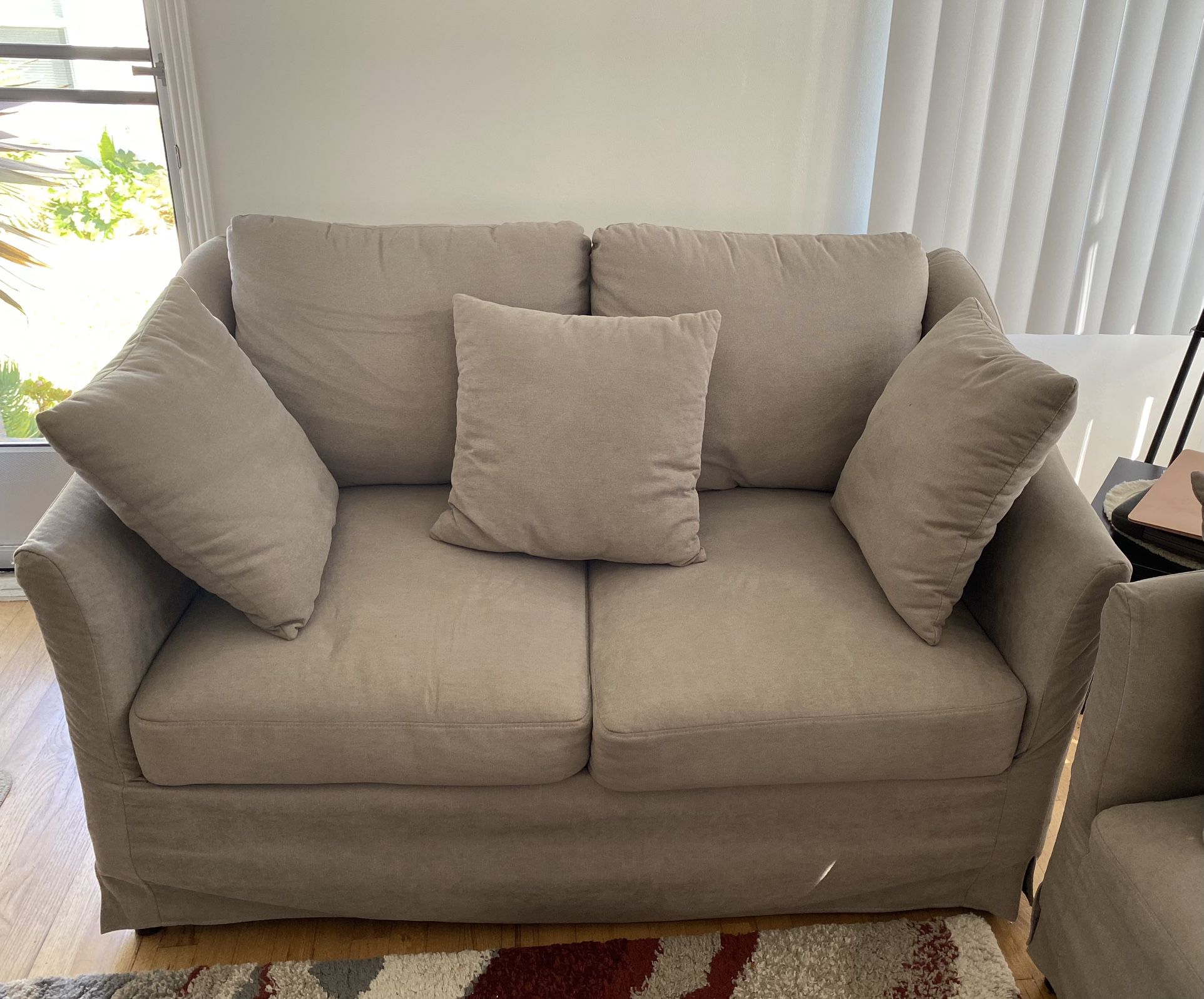 Sofa (2 seater) comes with free coffee tables and rug
