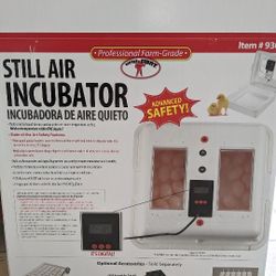 Little Giants Incubator