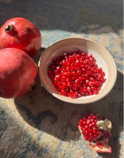 Pomegranate tree