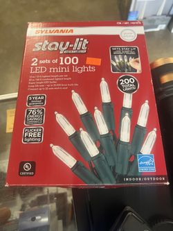 Stay Lit Mini Lights
