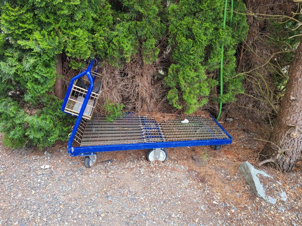 Warehouse Cart