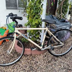 Trek 800 Men's MT Bike With Rack 